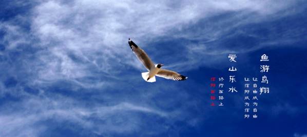 么好但不会像你想象得那么糟既然选择了无论好的还是糟的请坚持下去!不朽情缘登录入口我的365天创业日记—创业永远不可能像你想象得那(图12) 么好但不会像你想象得那么糟既然选择了无论好的还是糟的请坚持下去!不朽情缘登录入口我的365天创业日记—创业永远不可能像你想象得那(图12)