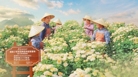 蔻斯汀花瓣沐浴露连续三年全球销量第一不朽